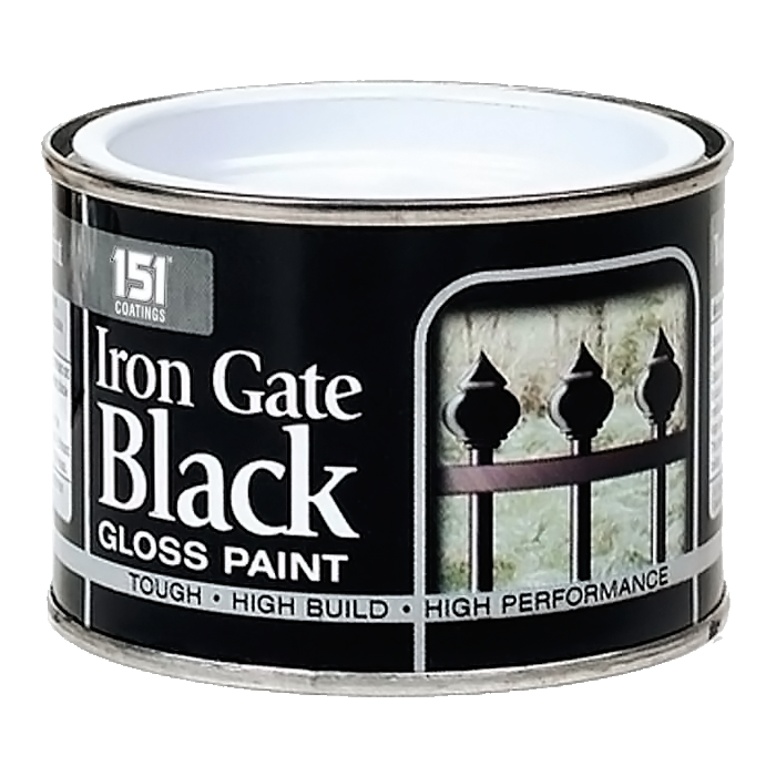 151 Iron Gate Black Gloss Paint 180ml